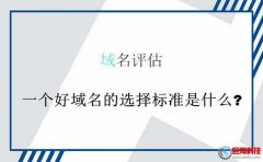 [域名評(píng)估]一個(gè)好域名的選擇標(biāo)準(zhǔn)是什么?